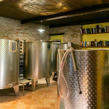 Ca Trifolera Barbaresco - Romantico Cascinale Con Antica Cantina Nel Cuore Delle Langhe - Degustazione Vini Nella Nostra Cantina المظهر الخارجي الصورة
