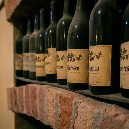 Ca Trifolera Barbaresco - Romantico Cascinale Con Antica Cantina Nel Cuore Delle Langhe - Degustazione Vini Nella Nostra Cantina المظهر الخارجي الصورة