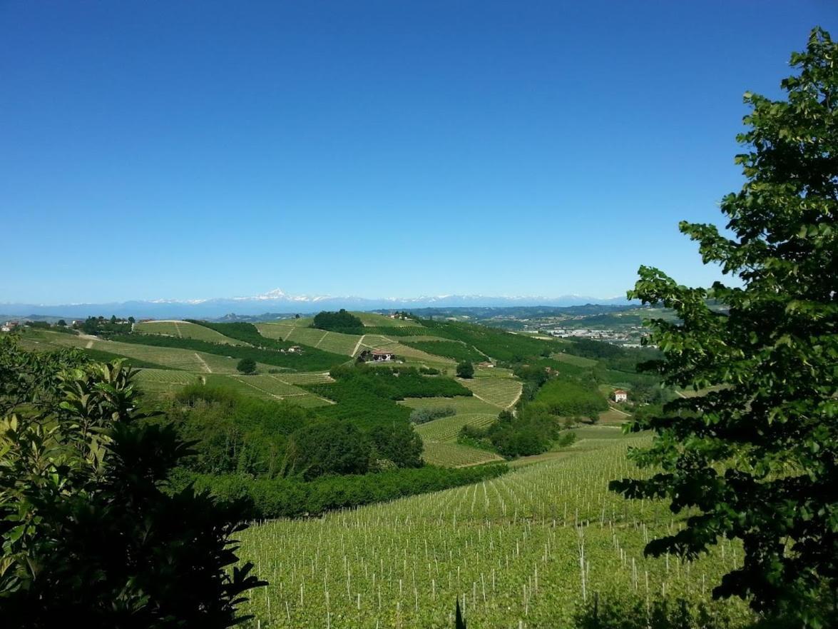Ca Trifolera Barbaresco - Romantico Cascinale Con Antica Cantina Nel Cuore Delle Langhe - Degustazione Vini Nella Nostra Cantina المظهر الخارجي الصورة