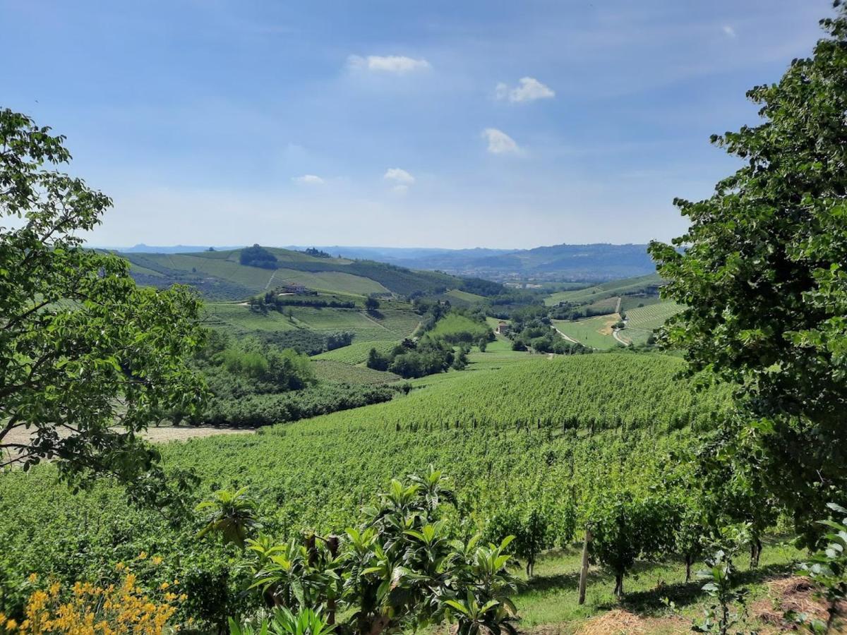 Ca Trifolera Barbaresco - Romantico Cascinale Con Antica Cantina Nel Cuore Delle Langhe - Degustazione Vini Nella Nostra Cantina المظهر الخارجي الصورة