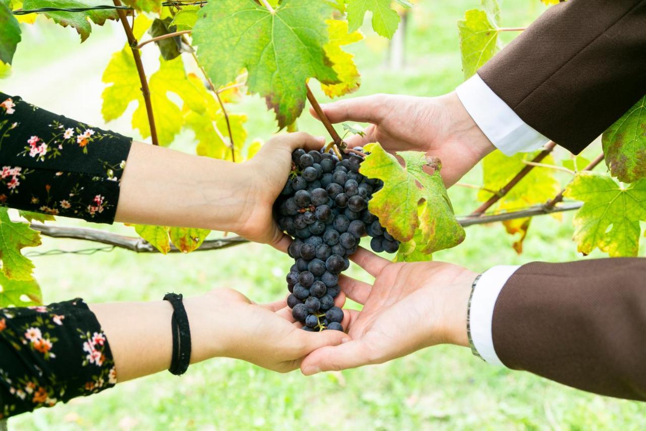 Ca Trifolera Barbaresco - Romantico Cascinale Con Antica Cantina Nel Cuore Delle Langhe - Degustazione Vini Nella Nostra Cantina المظهر الخارجي الصورة