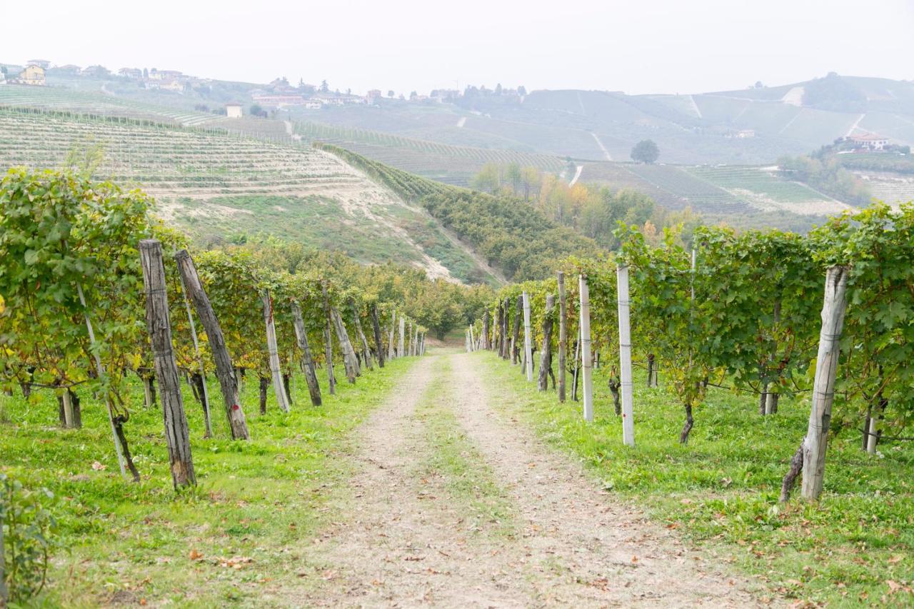 Ca Trifolera Barbaresco - Romantico Cascinale Con Antica Cantina Nel Cuore Delle Langhe - Degustazione Vini Nella Nostra Cantina المظهر الخارجي الصورة