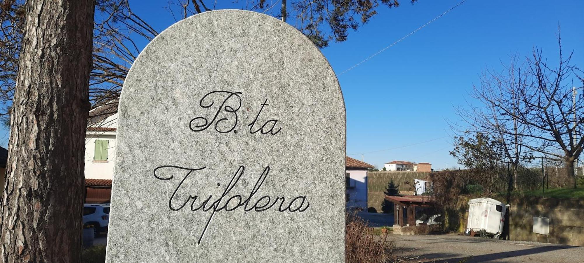 Ca Trifolera Barbaresco - Romantico Cascinale Con Antica Cantina Nel Cuore Delle Langhe - Degustazione Vini Nella Nostra Cantina المظهر الخارجي الصورة