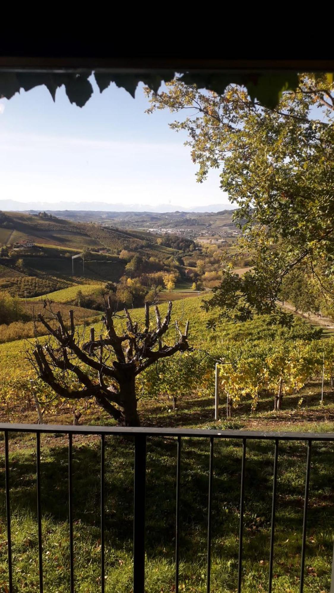 Ca Trifolera Barbaresco - Romantico Cascinale Con Antica Cantina Nel Cuore Delle Langhe - Degustazione Vini Nella Nostra Cantina المظهر الخارجي الصورة