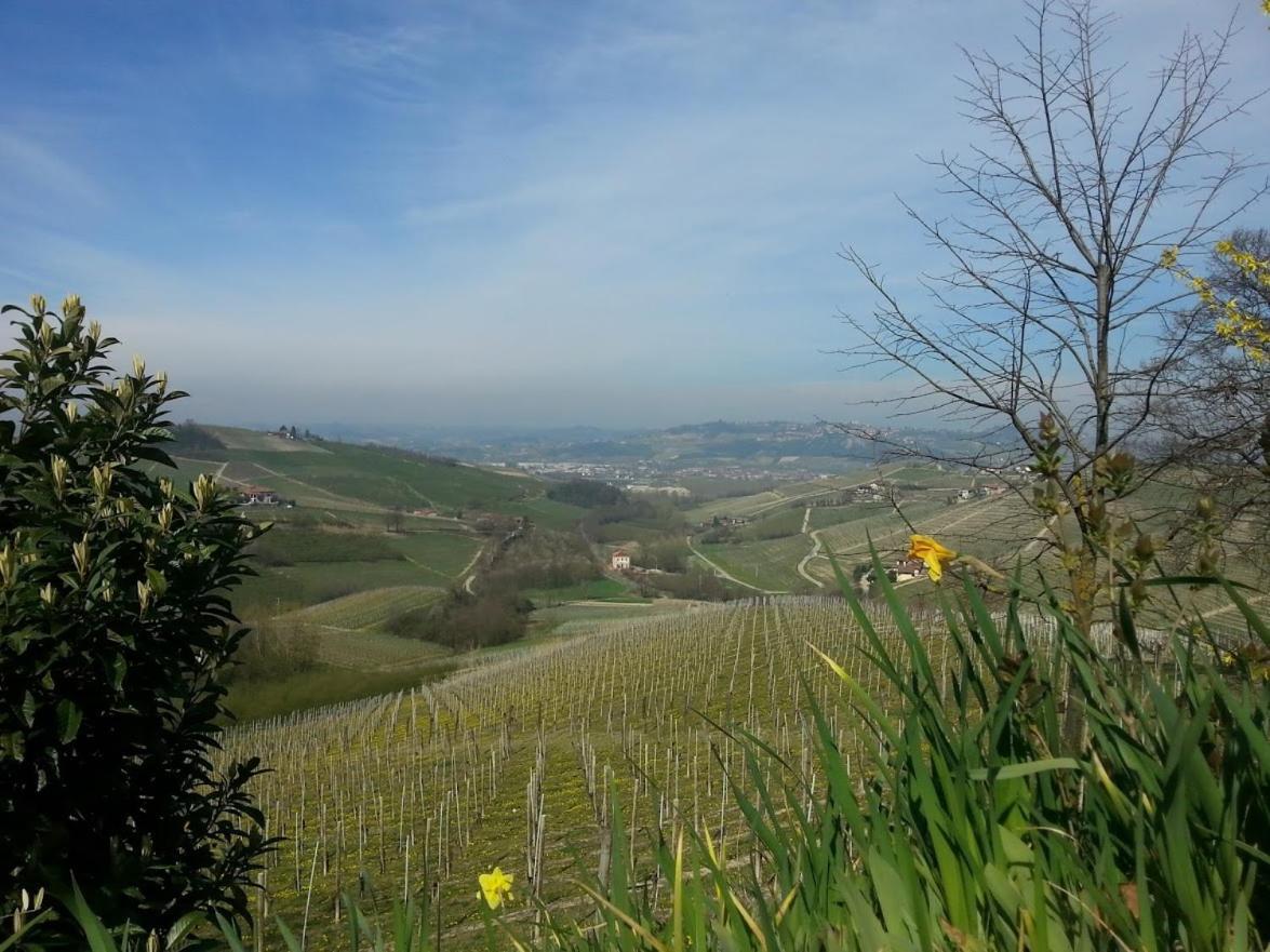 Ca Trifolera Barbaresco - Romantico Cascinale Con Antica Cantina Nel Cuore Delle Langhe - Degustazione Vini Nella Nostra Cantina المظهر الخارجي الصورة