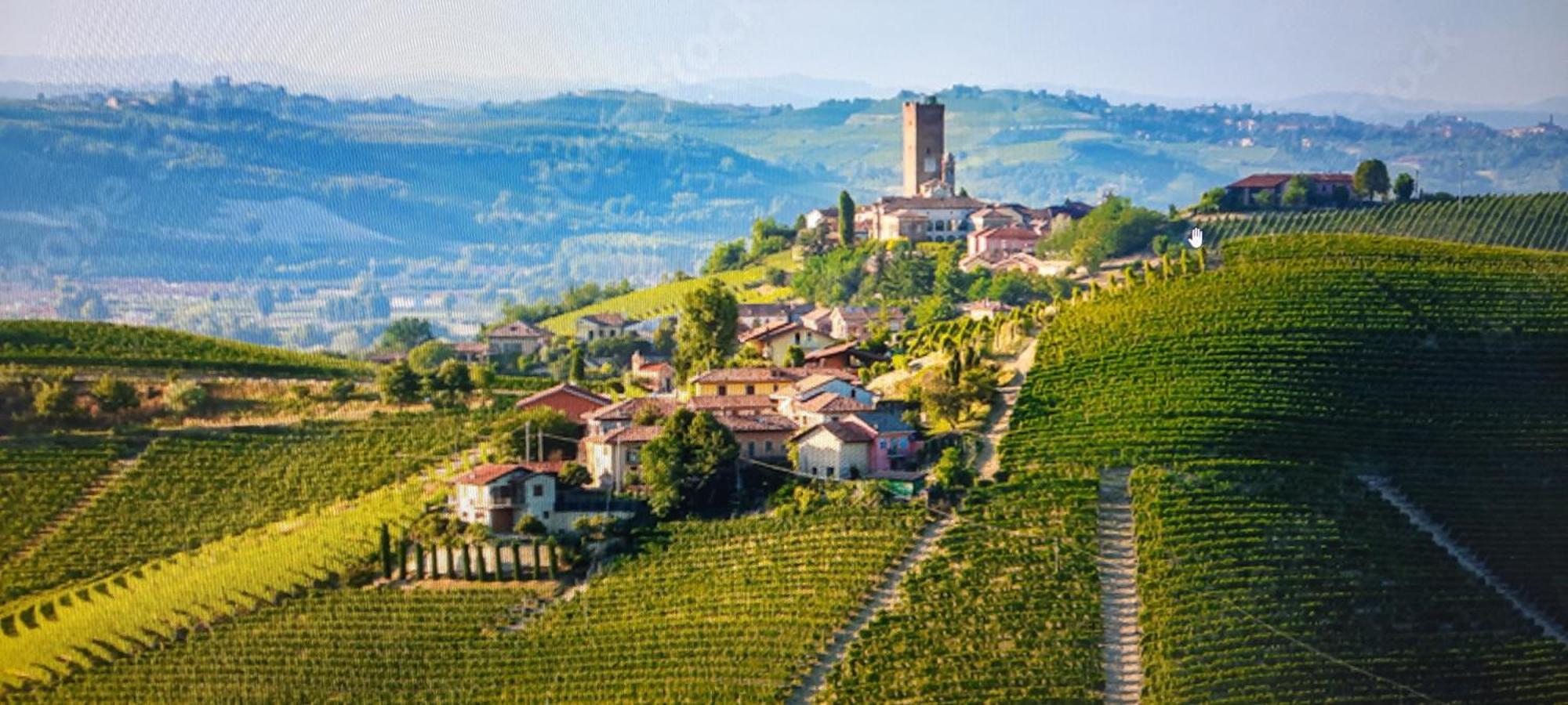 Ca Trifolera Barbaresco - Romantico Cascinale Con Antica Cantina Nel Cuore Delle Langhe - Degustazione Vini Nella Nostra Cantina المظهر الخارجي الصورة