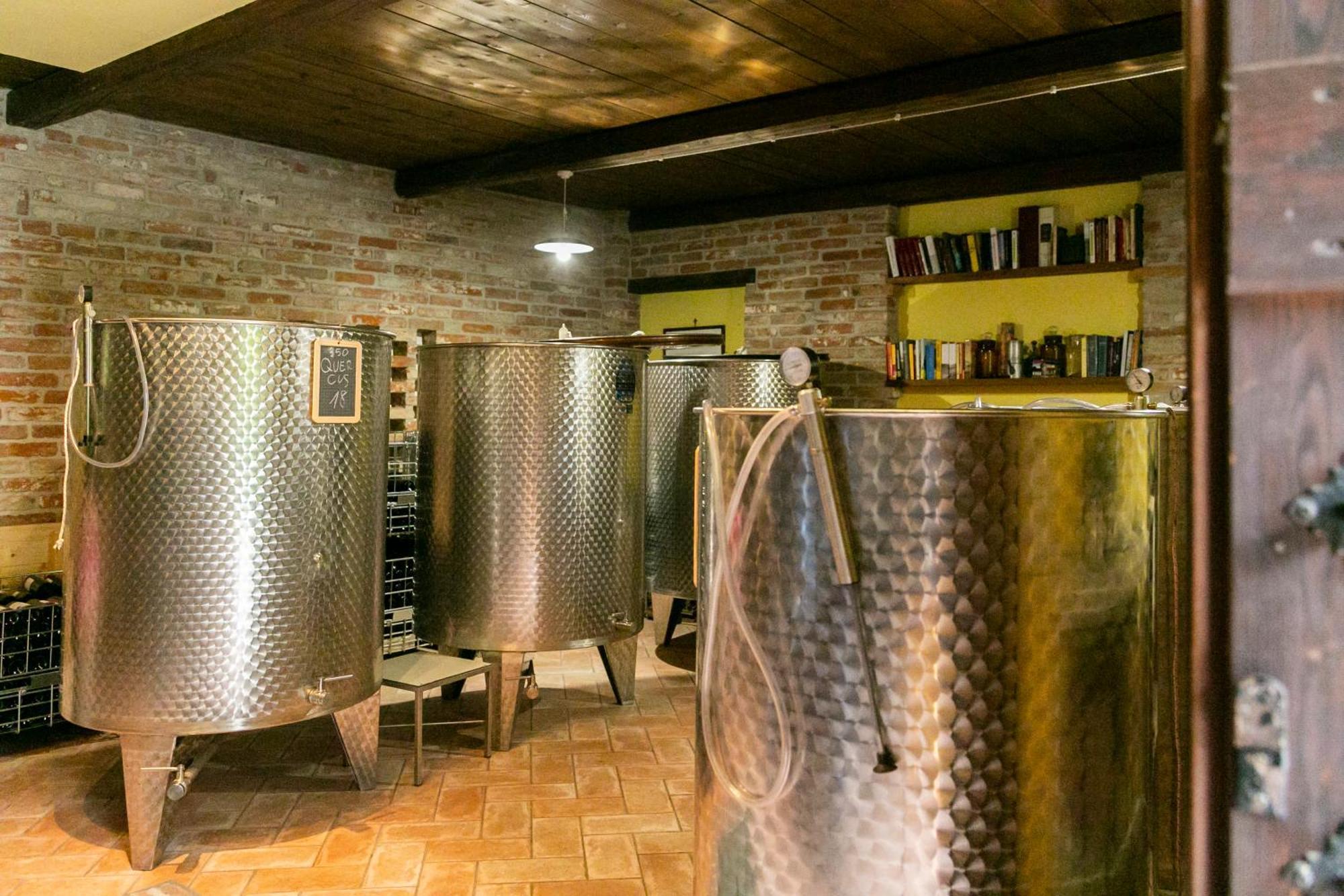 Ca Trifolera Barbaresco - Romantico Cascinale Con Antica Cantina Nel Cuore Delle Langhe - Degustazione Vini Nella Nostra Cantina المظهر الخارجي الصورة