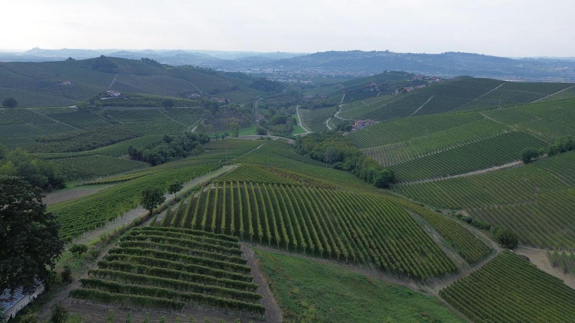 Ca Trifolera Barbaresco - Romantico Cascinale Con Antica Cantina Nel Cuore Delle Langhe - Degustazione Vini Nella Nostra Cantina المظهر الخارجي الصورة